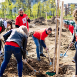 Доброволци от Kaufland засадиха 100 чинара на Гребната база в Пловдив