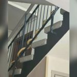 Голяма змия вся паника в блок в Пловдив, опитала се да влезе в апартамент на първия етаж