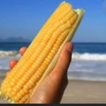 Невъзможно е: 4 евро за царевица на плажа